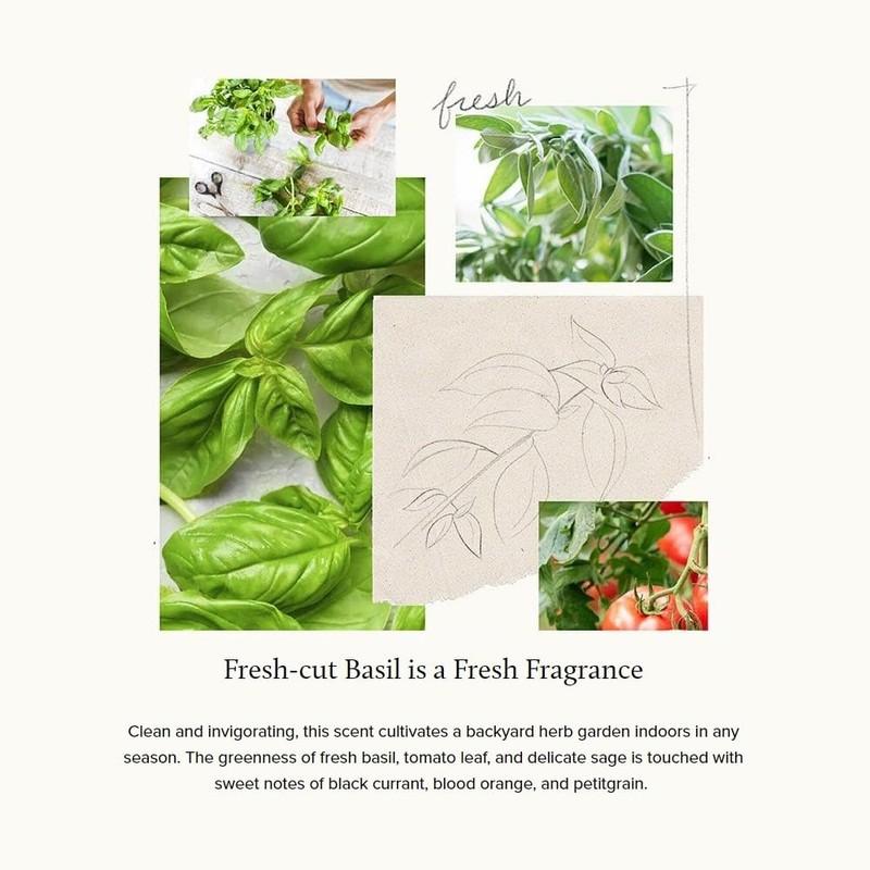 Thymes Moisturizing Hand Lotion for Dry Skin - Moisturizer for