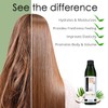 Awesome Synthetic Wig Shampoo and Leave in Conditioner Spray: pH6,