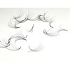 Linny Lashes 5D Eyelash Fans, C-Curl Eyelash Extensions, 500 Ready