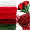 Caydo 500 Pieces Red Pipe Cleaners for Flowers, Craft Chenille