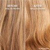 John Frieda Go Blonder - Champú aclarador, champú rubio, 8.3