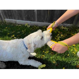 Endurance Dog Tug Toy |2- Handle | Tough & Durable Construction | Perfect for Training | Ultimate Tug of War Toy, Rewarding, Behaviour Correction, by Angel Pet Supplies (Black)