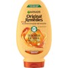 Garnier Hair Conditioner (with Ice Treasures) – 250 ml