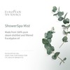 European Spa Source Energizing Lemongrass + Eucalyptus ShowerSpa Mist Spray
