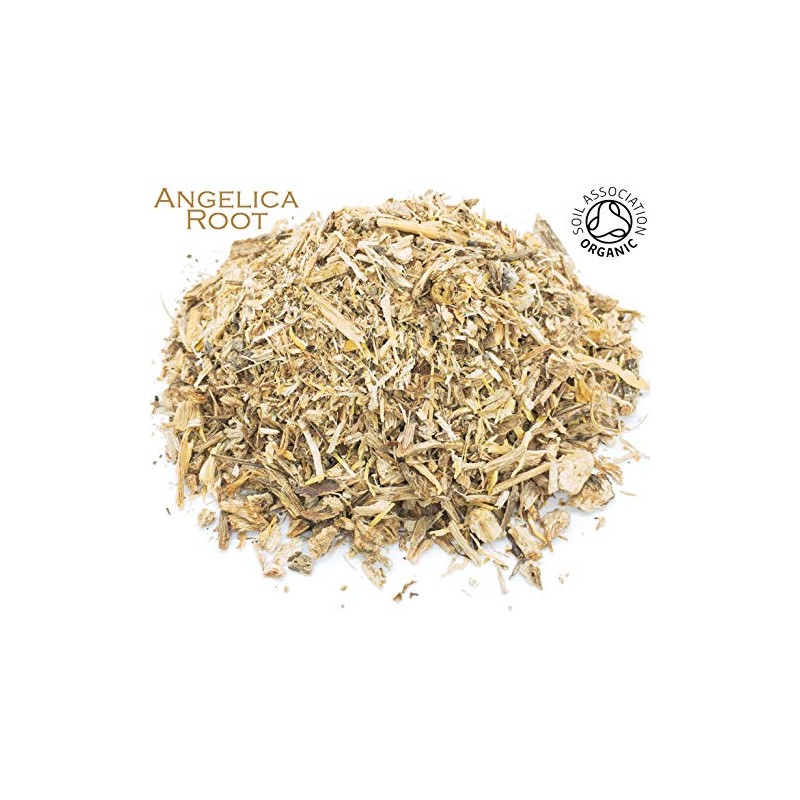 Organic Angelica Root Pure Herbal Infusion (25 Unbleached Tea Bags