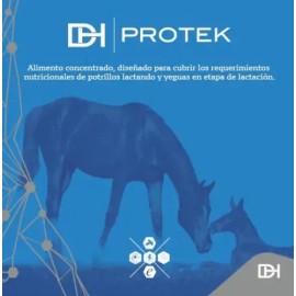 Dinasty Horse Protek Para Potros Y Yeguas Gestantes 25kg