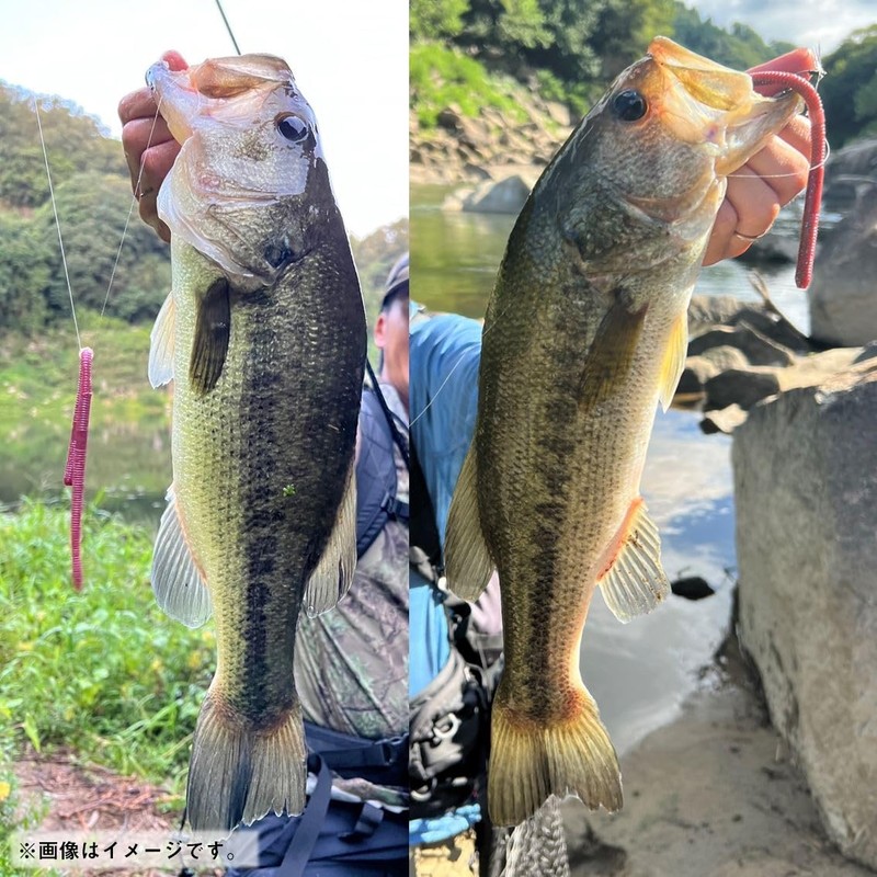 DAIWA STEEZ Cat Straight Long 9 Lure, Green Pumpkin