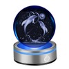 IFOLAINA Dolphin Gifts for Women 3D Dolphins Crystal Ball Statue