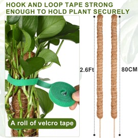 Joaercs Monstera Plant Support, 2.6Ft, 2 Pack Sustainable Coir Moss Pole Stakes, Plant Sticks for Climbing Vines, Pothos, Potted, Comes with Velcro Tape and Hemp Rope