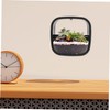 Outanaya Wall Hanging Succulent Planter Modern Hydroponic Vase for Indoor