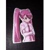 Mine from Akame Ga Kill Funny Glossy Sticker Anime Waterproof!
