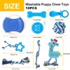 Juego de Juguetes para Perros de 10 Piezas - Juguetes