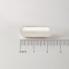 Lamberts L-Phenylalanine Capsules – 500mg Free-Form Amino Acid – High