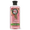 Herbal Essences Rose Hips Smooth Shampoo, All Hair Types, 13.5