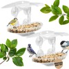 Coselena 2-Pack Window Bird Feeder – Clear Acrylic Bird Feeders