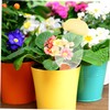 Mipcase Self Watering Plant Tool Automatic Dripper Globes for Use
