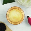 The Body Shop Oils of Life Intensely Revitalising Eye Cream