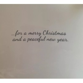 Current Set of 14 Beach Christmas Cards from Current Catalog~NWT