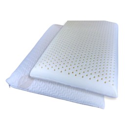 QQbed Standard Size 24"x16"x5" Medium Firmness Talalay Latex Foam Bed Pillow with Washable Pillowcase