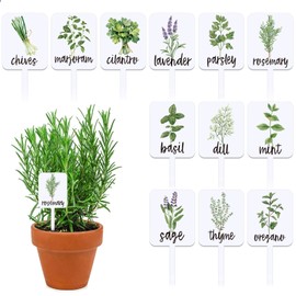 Whaline 24Pcs Acrylic Plant Label Signs 12 Styles Planted Herb Garden Markers Waterproof Plant Stake Tags with Herb Names for Nursery Indoor Outdoor Garden Decoration