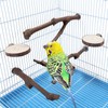 Allazone 7 PCS Natural Parrot Perch Bird Stand, Bird Platforms,