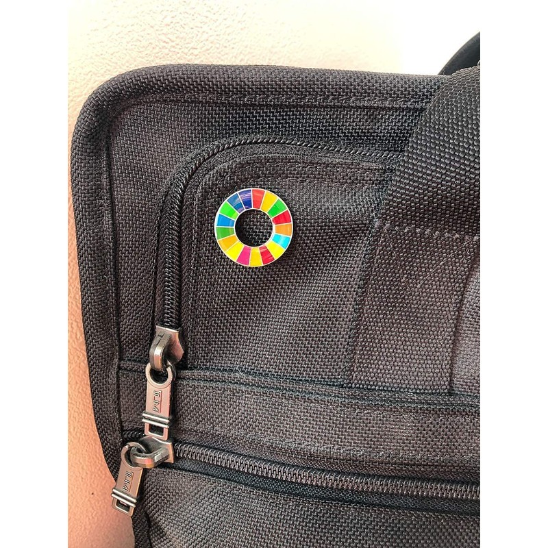 Gooing SDGs UNDP Pin Badge Badge