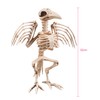 Boland Skeleton Bird Decoration (32 Cm)