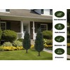 BLONYUVC 35" Artificial Cypress Topiary Cedar Topiaries for Indoors &