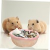 COLLBATH Ceramic Pet Bowl for Guinea Pig Hamster Rabbit Pet