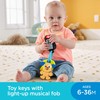 Fisher-Price Laugh & Learn Play & Go Keys