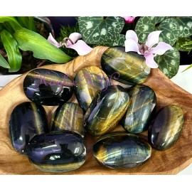 Wholesale Lot 2 Lbs Natural Tiger Eye Palm Stones Crystal Healing