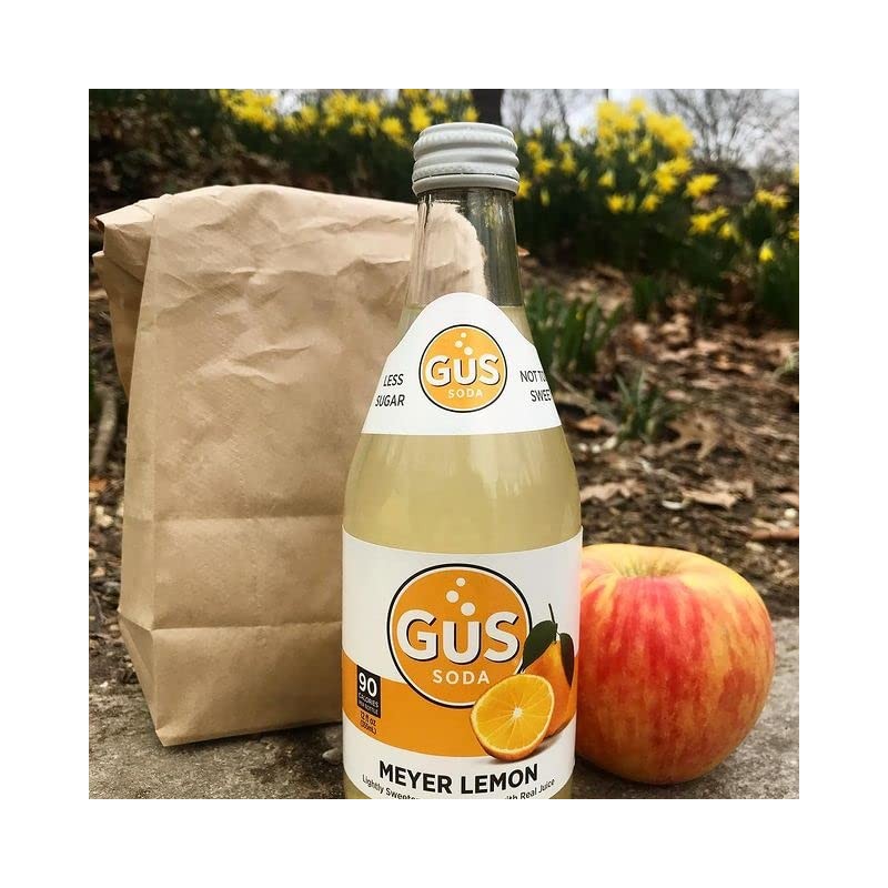 GuS Grown-Up Soda | Lightly Sweetened Sodas with Real Juices