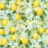 Jillson Roberts Gift Wrap, Lemon Tree, Quarter Ream 208 feet