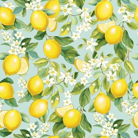 Jillson Roberts Gift Wrap, Lemon Tree, Quarter Ream 208 feet x 24 inches