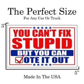 You Can't Fix Stupid Buy You Can Vote It Out Sarcastic Large Funny Auto Window Decal Bumper Sticker Car Truck RV Boat 3x5 Inch