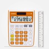 Casio MJ-12VCb-RG 300 Steps Check & Correct Colourful Desktop Calculator