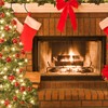 Powrocket 2 Pack Fireplace Grate Ember Retainer 16 x 10