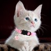2 Pack Cat Collars Adjustable Kitten Collars with Bells Safe