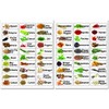 60 Spice Labels Jar Bottle Illustrated Stickers Labels