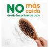 Shampoo Anticaída con Romero y Sábila para Crecimiento Capilar, de