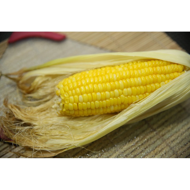 Corn Husks for Tamales, Hojas de Tamal Natural 5 Lbs
