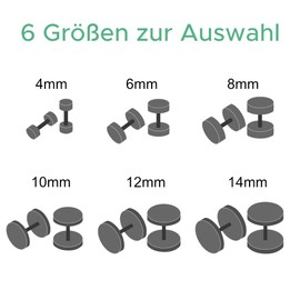 Treuheld® Fake Plug Set (2 Pieces) | Large Stud Earrings for Screwing | Titanium - 6 Sizes - Black | Plate Stud Earrings Pair | Men and Women