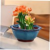 BESPORTBLE Ceramic Orchid Planter Pot Drainage Hole for Succulents Small