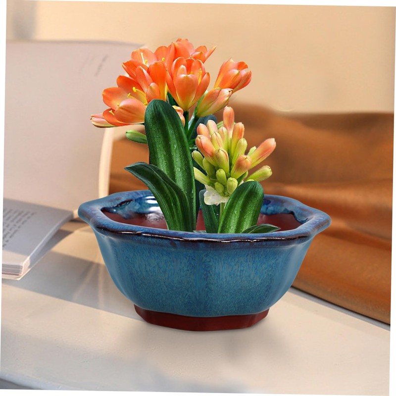 BESPORTBLE Ceramic Orchid Planter Pot Drainage Hole for Succulents Small