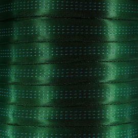 West Coast Paracord 1-Inch Tubular Nylon Webbing – Premium Heavy Duty Lightweight with Breaking Strength of 4000 Pounds – Outdoor All Purpose Straps for Climbing and Securing (Forest Green, 5 Yards)