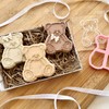 LissieLou Fluffy Sitting Teddy Bear Cookie Cutter and Embosser Baby