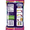 Lifesavers Gummies Exotics Pack Of 12 7 Ounce Variety Fruit