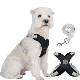 FEimaX Dog Harness for Small Medium Dogs Anti-Pull Reflective Soft Chest Harness with Dog Lead No Pull Dog Harness Adjustable Breathable Puppy Dog Harness