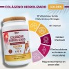 3 Colágenos Hidrolizado + Ácido Hialurónico 1.1 Kg(uva)