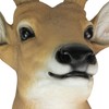 Zeckos 12 Point Buck Deer Head Bust Resin Wall Sculpture